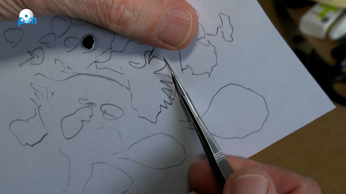 20250926 Expositie Ton Root in gemeentehuis.mp4.00_05_17_07.Still008---Omroep_PIM.jpg