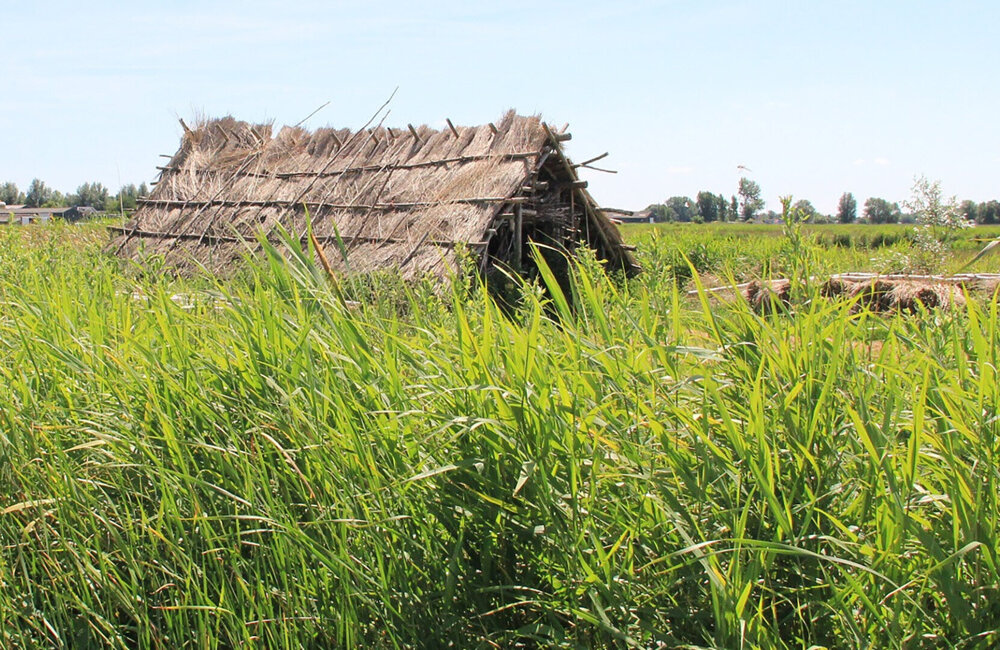 langhuis-ilperveld---Klaas_Ros