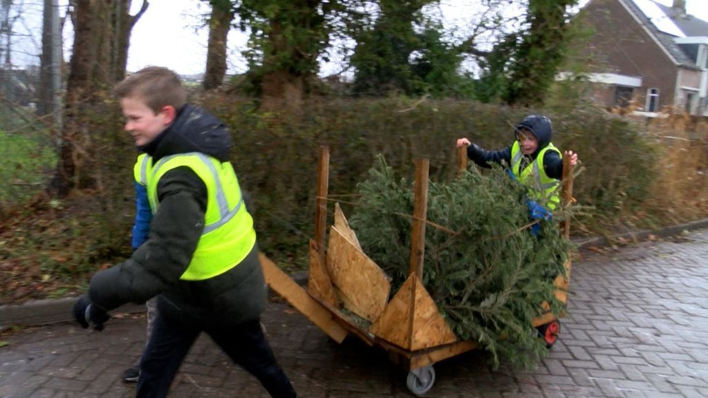 20260102KerstboomophalersIlpendaminactie.00_00_50_19.Still004Omroep_PIM.jpg