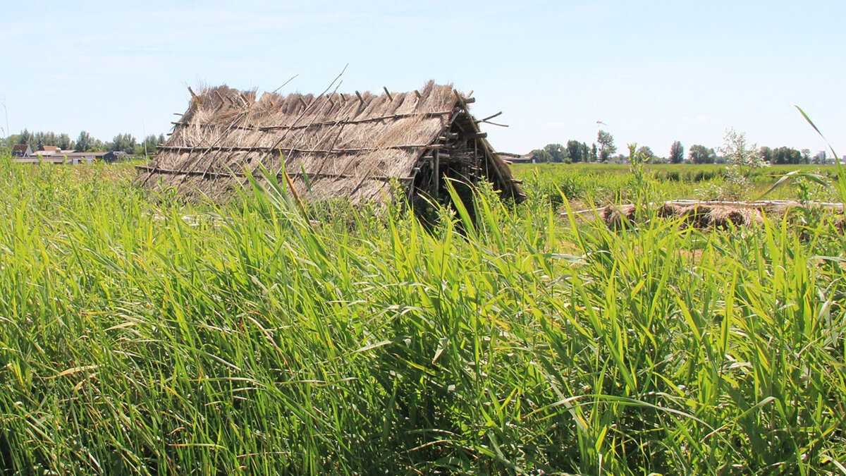 langhuis-ilperveld---Klaas_Ros