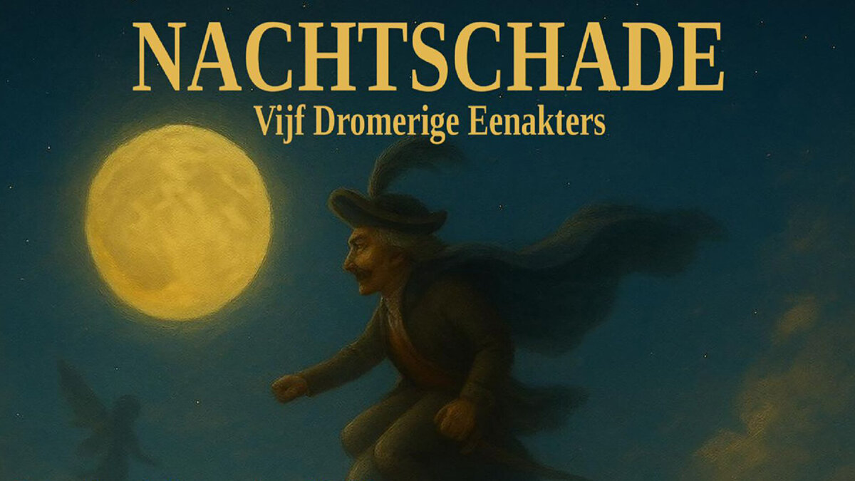 20251014 nachtschade 01---Toneelvereniging_De_Brug.jpg