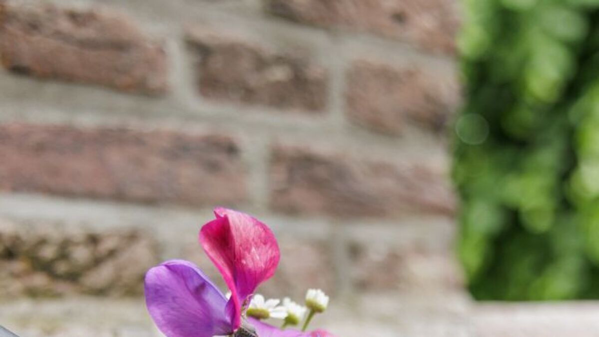 20260607TuintonenWatergang2026075Ton_Hurks_Fotografie